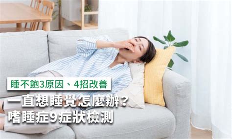 老是想睡覺|一直想睡覺可能罹患嗜睡症？嗜睡恐有5大症狀，可用E…